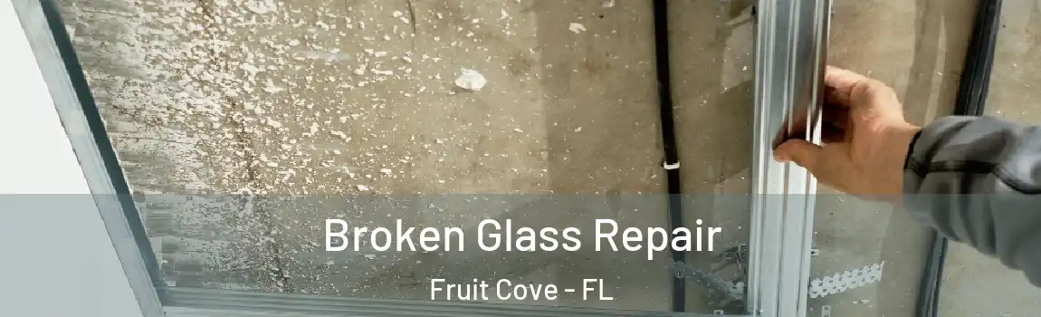  Broken Glass Repair Fruit Cove - FL