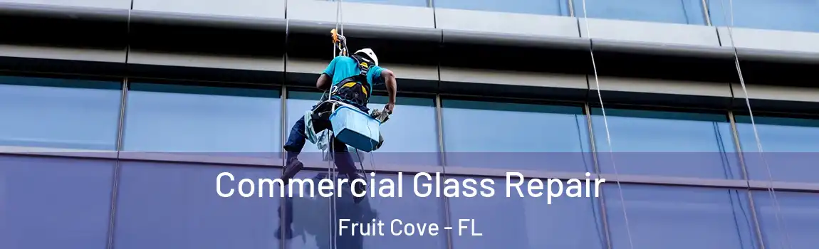  Commercial Glass Repair Fruit Cove - FL