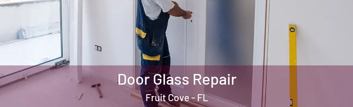  Door Glass Repair Fruit Cove - FL