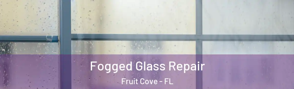 Fogged Glass Repair Fruit Cove - FL