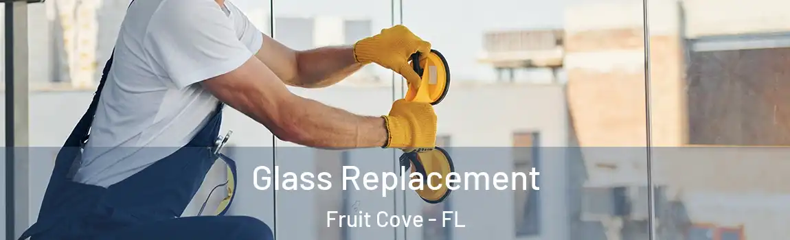  Glass Replacement Fruit Cove - FL