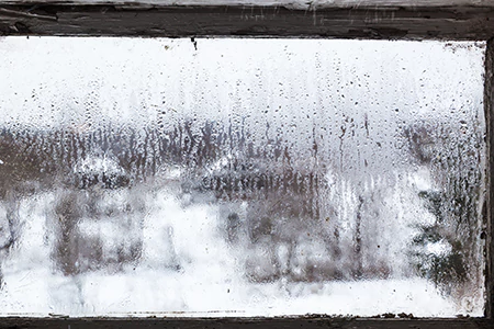 Defogging Double Pane Windows in Fruit Cove, FL