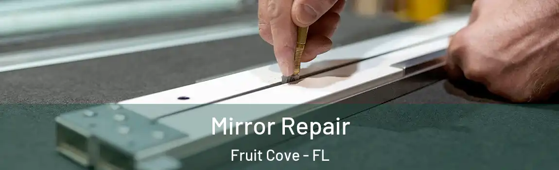  Mirror Repair Fruit Cove - FL