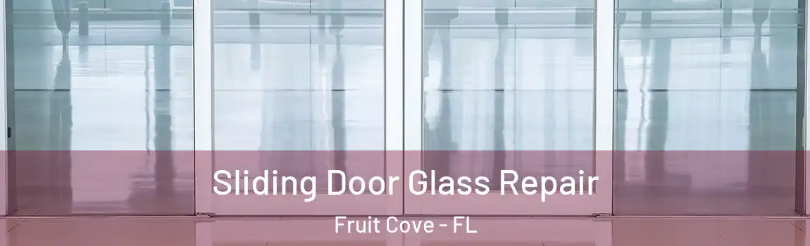  Sliding Door Glass Repair Fruit Cove - FL