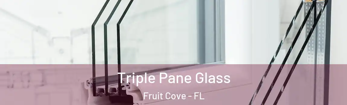  Triple Pane Glass Fruit Cove - FL