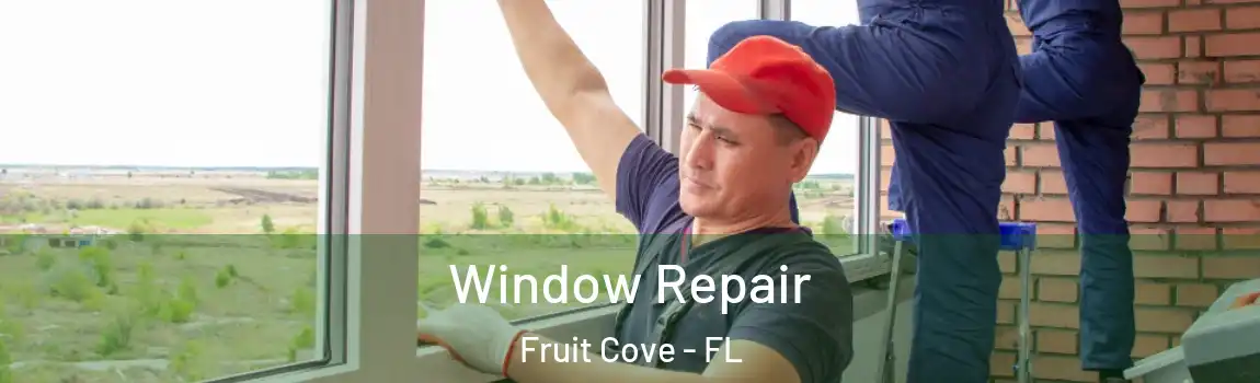 Window Repair Fruit Cove - FL